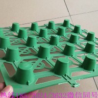 广西桂林PE蓄水板价格 惊喜！灌阳蓄排水板大量现货