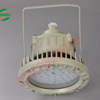 SW7150LED节能泛光灯40W