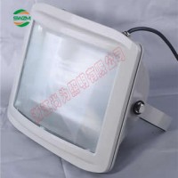 SW7211节能LED应急灯12W/30W