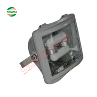 SW7221无极泛光灯 40W 60W