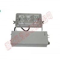 SW7241 LED应急泛光灯5W,7W,12W