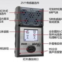 英思科MX6复合气体检测仪