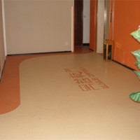 LG彩宝塑胶地板