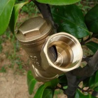 Y型黄铜过滤器 黄铜加厚过滤器 优质黄铜过滤器