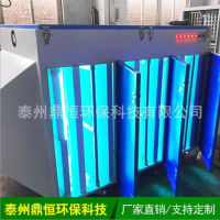 光氧催化不锈钢废气处理设备 泰州鼎恒环保 厂家直供