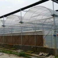 厂家直销连栋薄膜温室大棚 蔬菜大棚