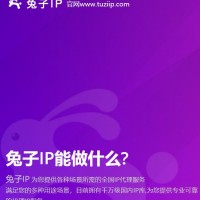 高质量代理IP首选兔子动态IP满足对IP的一切业务需求