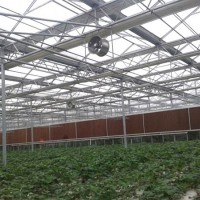 厂家直销温室大棚文洛式圆形拱棚 阳光板大棚