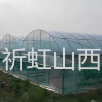 忻州神池县农业大棚 八角镇蔬菜种植棚