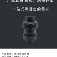 武峰 UPVC双活接止回阀 单向阀 双由令止回阀 立式逆止阀
