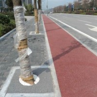 碧桂园小区河边彩色透水地坪，地坪材料罩面剂