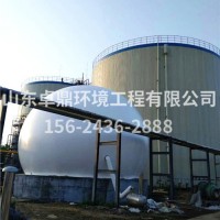 储气柜 双膜气柜储 沼气储气柜