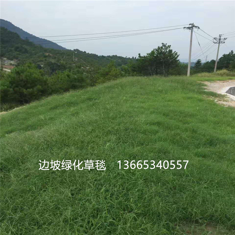 微信图片_20180515092055
