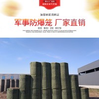 直销 防爆网 防汛挡土墙防爆笼边坡防护园林绿化景观