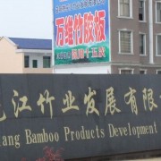 益阳桃花江竹业发展有限公司