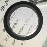 机械密封 KLL-Z520-80