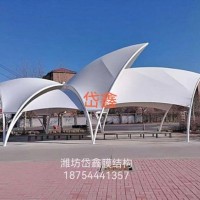 膜结构车棚，看台一条龙服务
