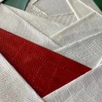 FS洁净墙衣