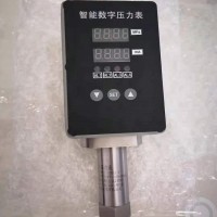 水电站监控CS51CIIIREK8N1智能压力控制器