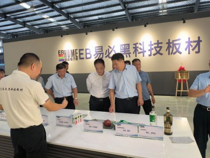 费县人大常委会党组书记、主任谭成亮一行到易必电子束视察工作