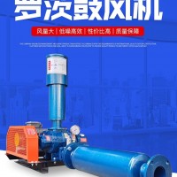 三叶罗茨风机鱼塘增氧机曝气物料输送罗茨风机